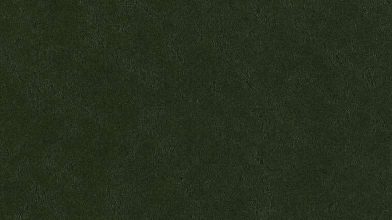 Forbo Linoleum Marmoleum Walton - bottle green 3359-2.5