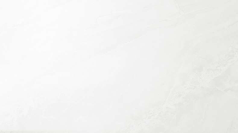 planeo StrongWall - plastic wall panelling Evo 65 x 37.5 cm high gloss