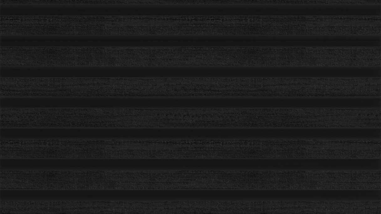 planeo LINEA Slim – WPC CoEx cladding, black, 2900 x 215 mm
