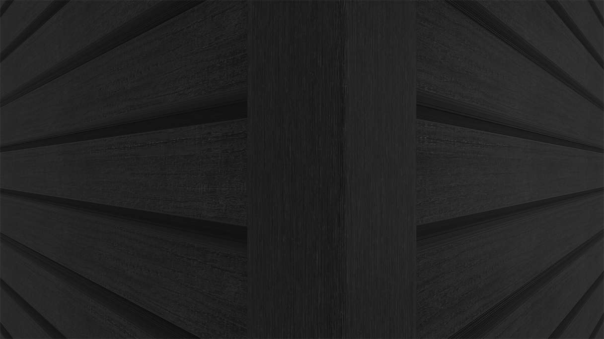 planeo LINEA Wide – WPC CoEx cladding, black, 2900 x 181 mm