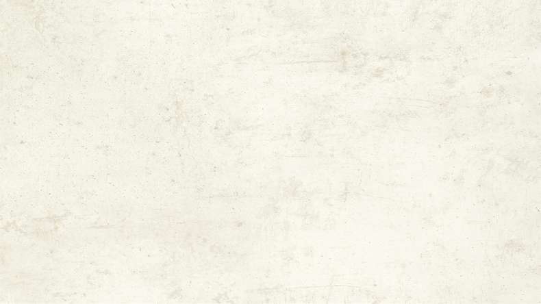 Plastic wall cladding - planeo StrongWall - Light Cement