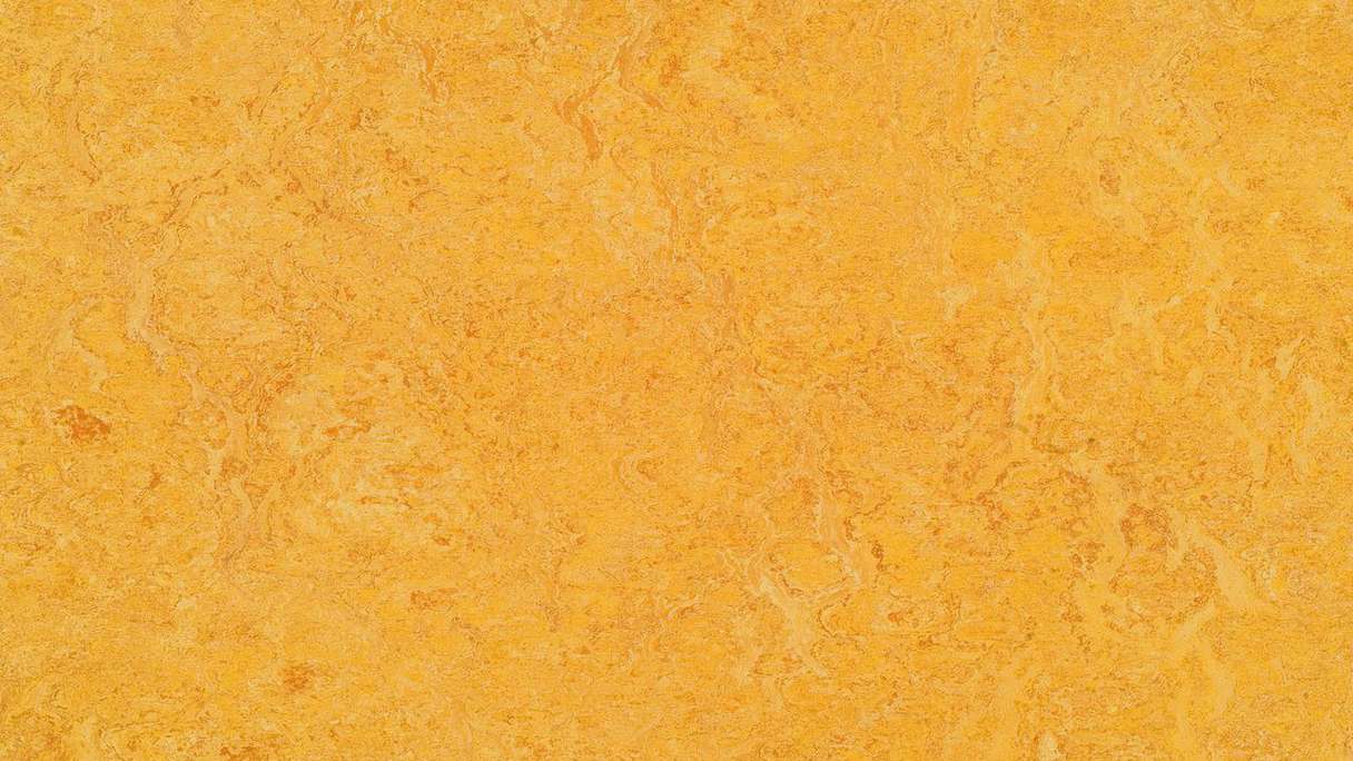 Forbo Linoleum Marmoleum Real - dandelion 3225 - 2.5mm