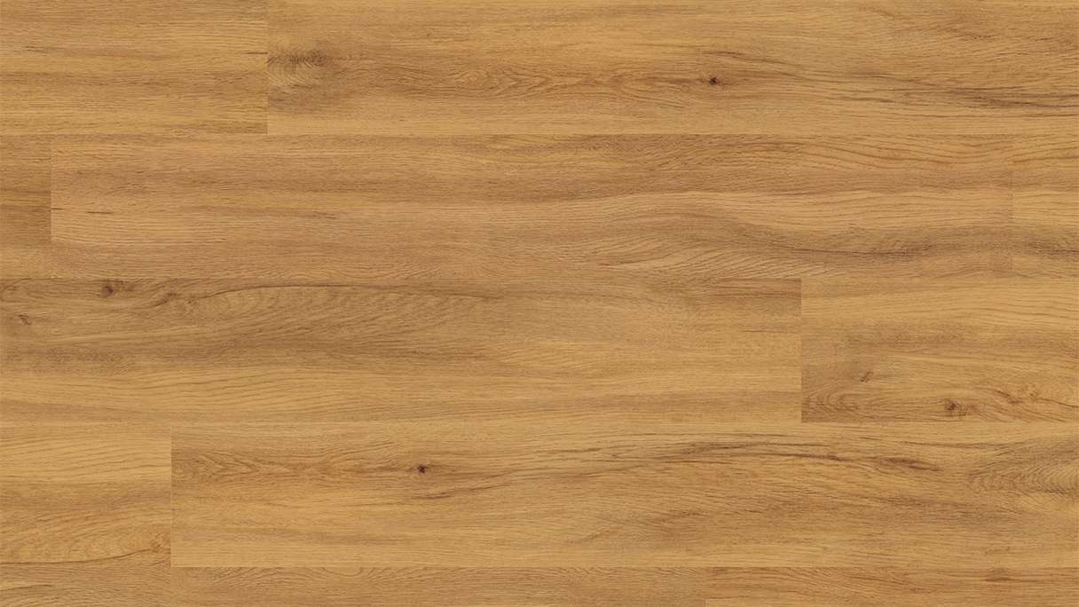 planeo Rigid click vinyl - FlexCore 55 Pure Oak | Impact sound insulation integrated (plfc-5122FS55)