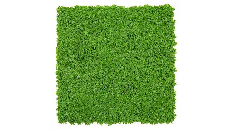 planeo acoustic panel - MixWall Moss Mood Lime Green 52 x 52 cm | artificial moss (PLMW-30211C)