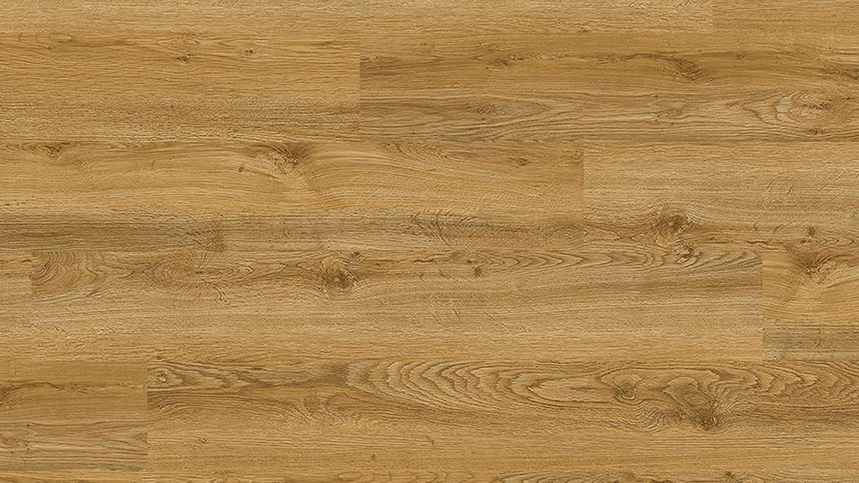Project Floors adhesive Vinyl - floors@home30 PW 3241/30 (PW324130)