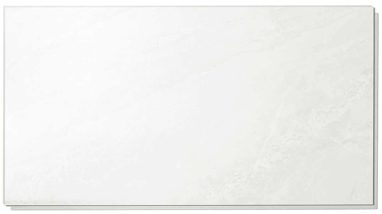 planeo StrongWall - plastic wall panelling Evo 65 x 37.5 cm high gloss