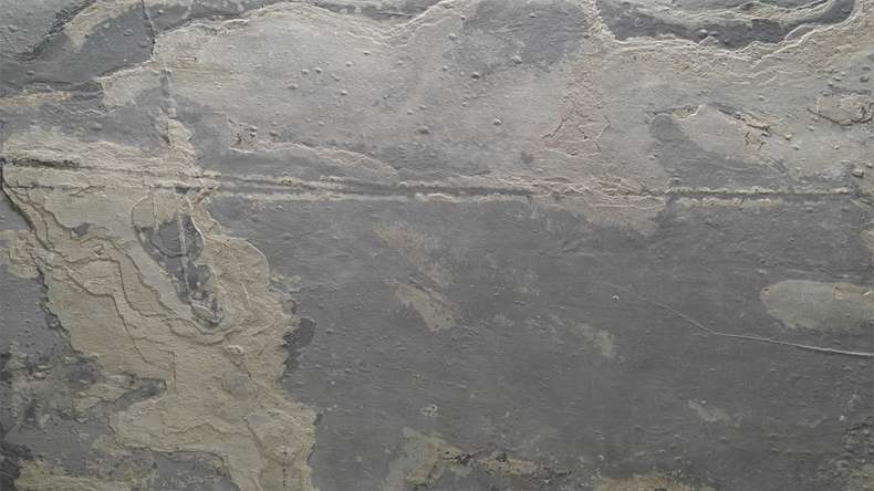 planeo EVOLITH Slate&Stone - Natural stone wall cladding Terracrust 1220 x 610 mm