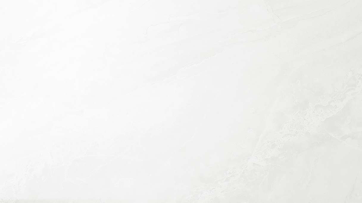 planeo StrongWall - plastic wall panelling Evo 65 x 37.5 cm high gloss