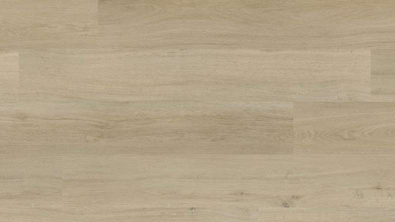 Project Floors adhesive Vinyl - floors@work55 55 PW 1275 (PW127555)