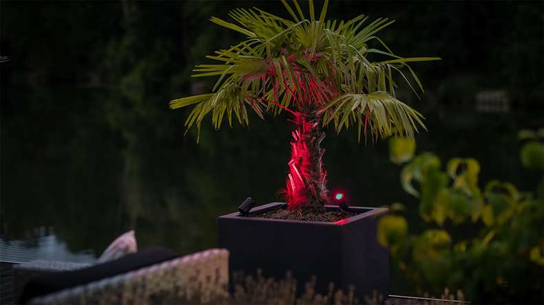 planeo Castor Smart 12V - LED Zigbee spotlight