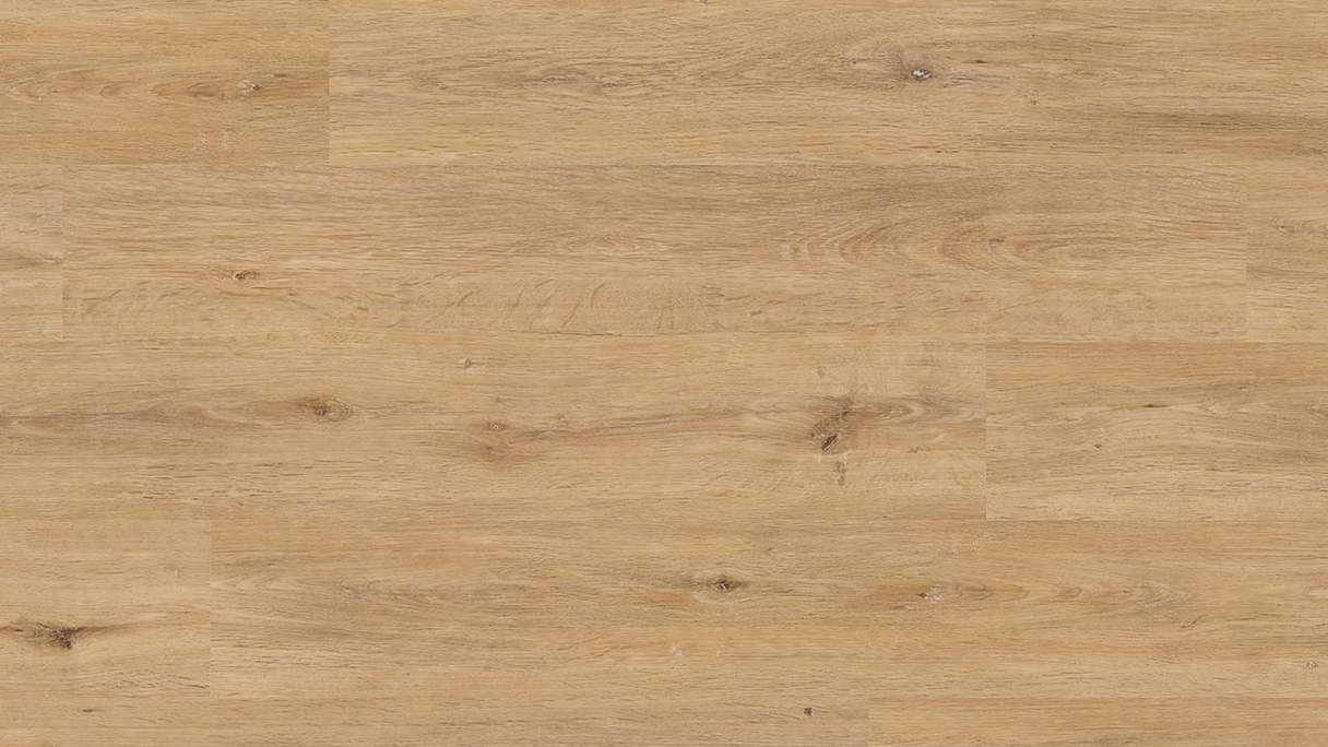 Project Floors adhesive Vinyl - floors@work55 55 PW 3350 (PW335055)