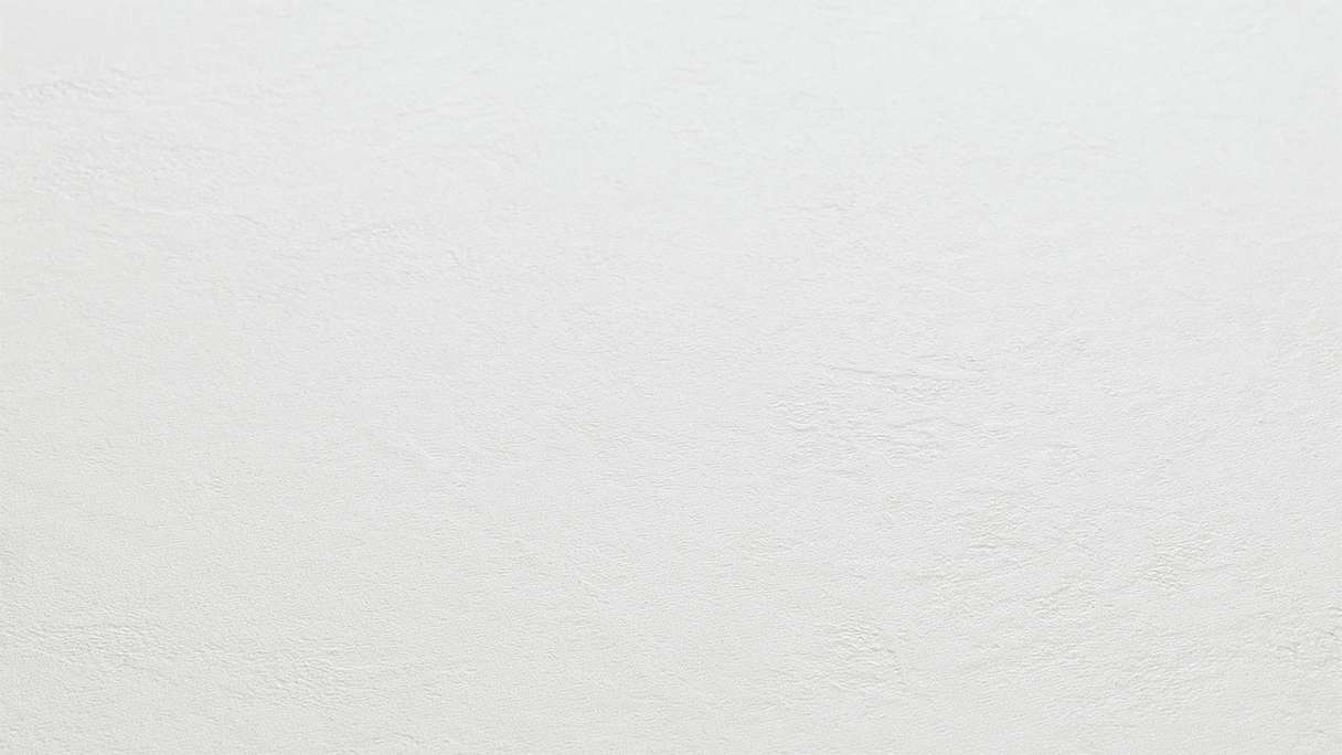 planeo wall cladding SPC - CeraRock Tile Concrete White 120 x 60 cm