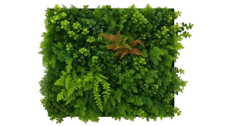 planeo acoustic panel - MixWall Leaf Mood Feral Green Mixed Flora 52 x 52 cm | artificial plant (PLMW-20121A)