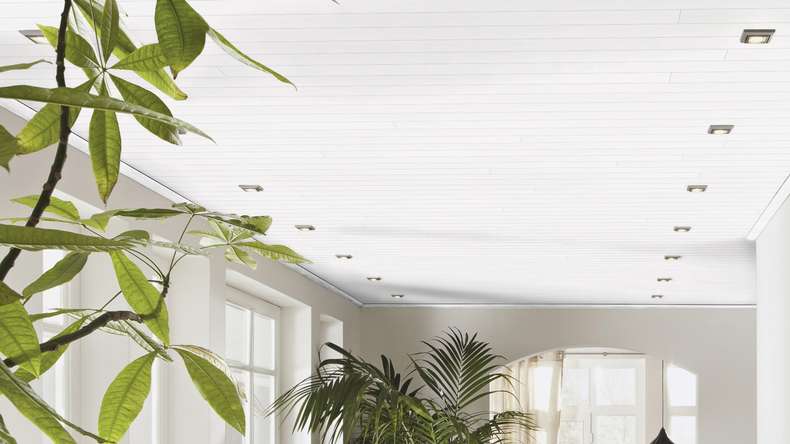 Meister Panels - Bocado 250 Fineline white 4029