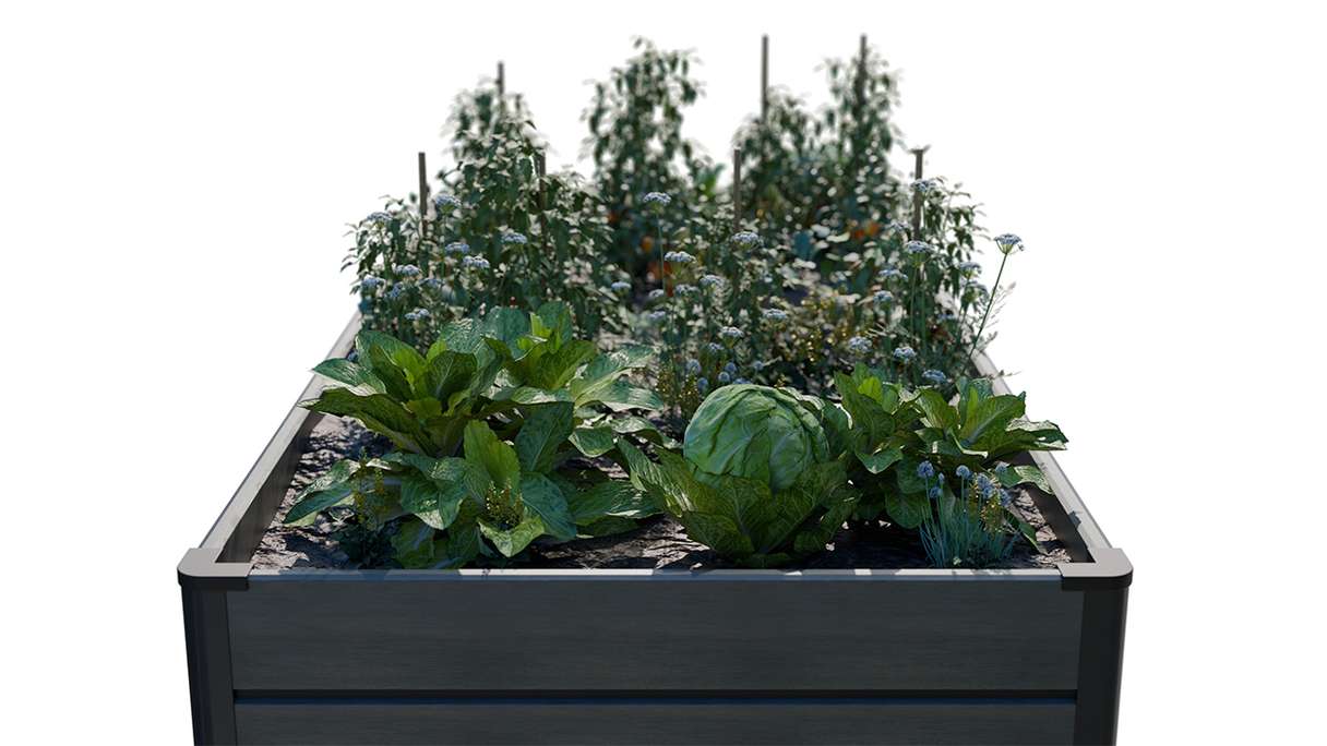 planeo BPC-Rhombus raised bed rectangle - stone grey co-ex. 150 x 70 x 79 cm