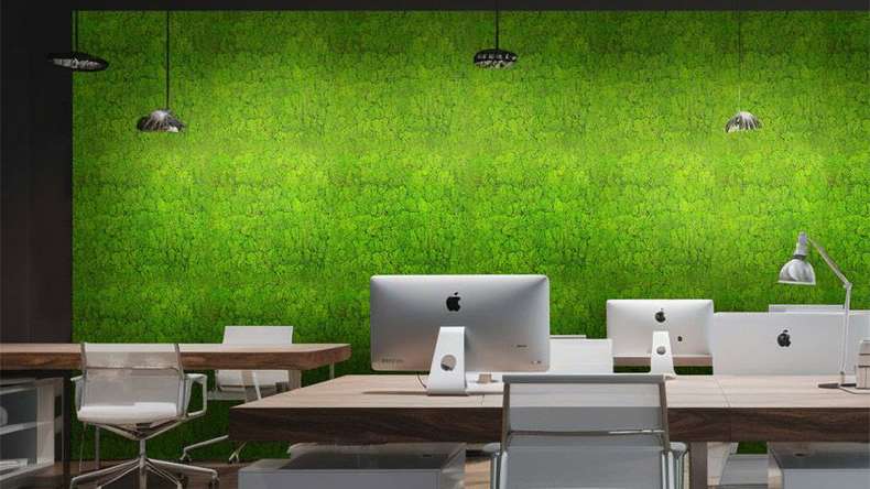 planeo acoustic panel - MixWall Living Moss Bright Green 52 x 52 cm | natural moss (PLMW-20111)