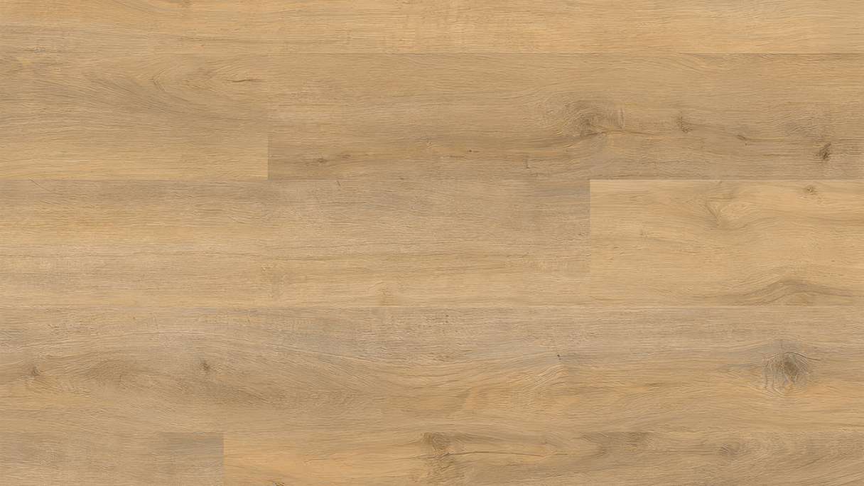 planeo Rigid Click Vinyl – GRANDtec 180 XL Zayn