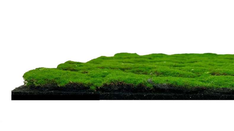 planeo acoustic panel - MixWall Moss Mood Forest Green 52 x 52 cm | artificial moss (PLMW-30121A)