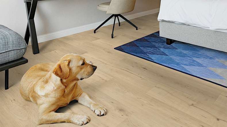 planeo Rigid click vinyl - FlexCore 55 Misty Oak | Impact sound insulation integrated (plfc-5023FS55)