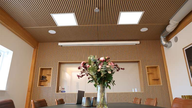 planeo acoustic panels - natural oak 2480 x 600 x 21.5 mm | fire-retardant