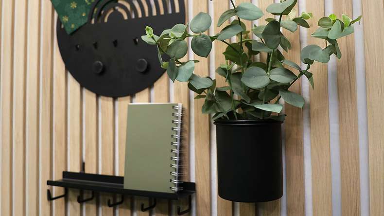 planeo storage cup - black 1 pc