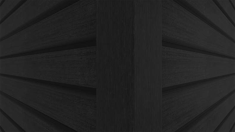planeo LINEA Wide – WPC CoEx cladding, black, 2900 x 181 mm