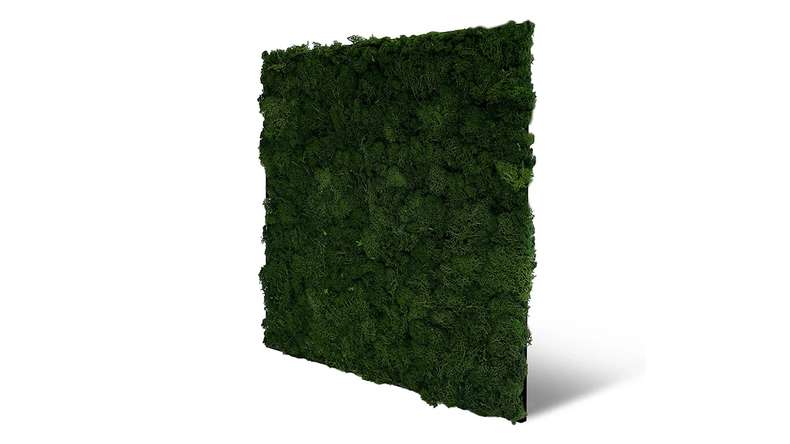 planeo acoustic panel - MixWall Living Moss Dark Green 52 x 52 cm | natural moss (PLMW-30111)