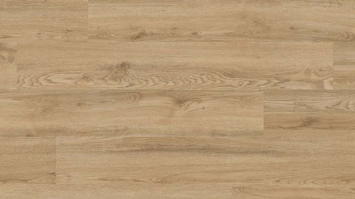 Project Floors adhesive Vinyl - floors@work55 55 PW 3240 (PW324055)