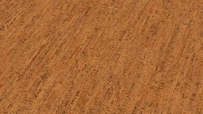 Wicanders click cork flooring - Go4Cork Attraction - click cork flooring Veneered