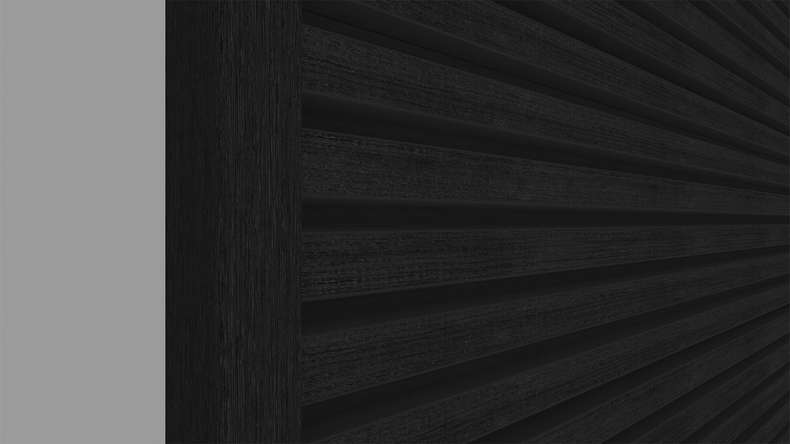 planeo LINEA Slim – WPC CoEx cladding, black, 2900 x 215 mm
