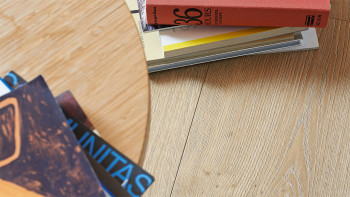 MEISTER Laminate - MeisterDesign LL 250 Oak Atacama 06380 | Synchronised embossing (600009-2052248-06380)