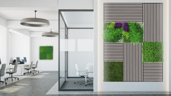 planeo acoustic panel - MixWall Timber Solid Althea Oak 52 x 52 cm | real wood veneer MDF (PLMW-10311C)