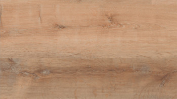 Skaben Klick Vinyl - ProfiKlick Goldene Eiche Honig | Synchronprägung (SP-6200191)