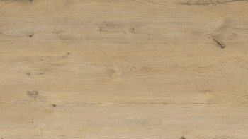 planeo Rigid Click Vinyl - Sand Oak | Impact sound insulation integrated (KRO-1008)