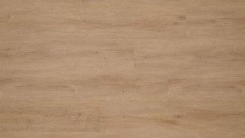 planeo Click Vinyl - Rigid Oak Genova | integrated impact sound insulation (MF-1019)