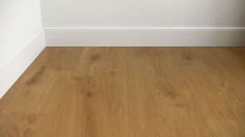planeo adhesive vinyl - Woodline Classic Oak | synchronised embossing (PLDD2570-ECL)
