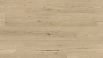 planeo Rigid click vinyl - FlexCore 30 Misty Oak | Impact sound insulation integrated (plfc-5023FS30)