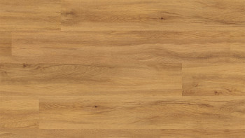 planeo Rigid click vinyl - FlexCore 55 Pure Oak | Impact sound insulation integrated (plfc-5122FS55)