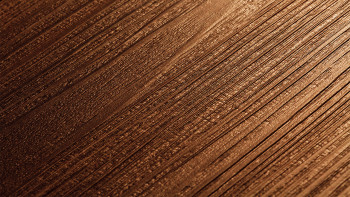 Project Floors adhesive vinyl - floors@work55 PW 3535/55 | synchronised embossing (PW353555)