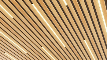 Skaben acoustic panels SilentWall Easy-Sticks - light brown oak - 250 x 3.45 cm