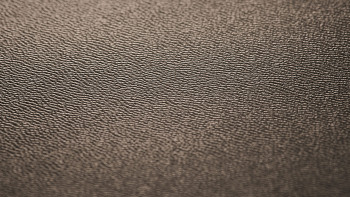 Project Floors click Vinyl - SPC Core Collection ST240/CO30 (ST240CO30)