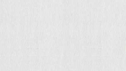 vinyl wallcovering white modern stripes Meistervlies 2020 017