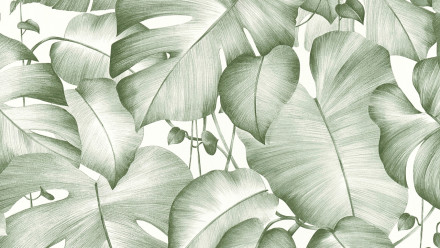 Vinyl wallpaper design panel green modern vintage flowers & nature images pop.up panel 3D 391