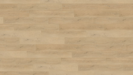 Wineo adhesive vinyl - 400 wood L Plain Oak Beige | Synchronised embossing (DB281WL)