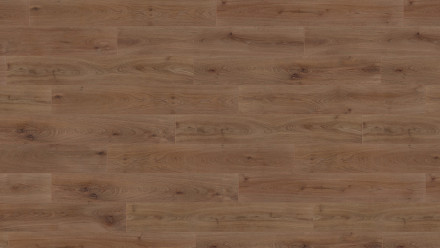 Wineo organic floor - 1000 wood XL Noble Oak Chocolate click (PLC312R)