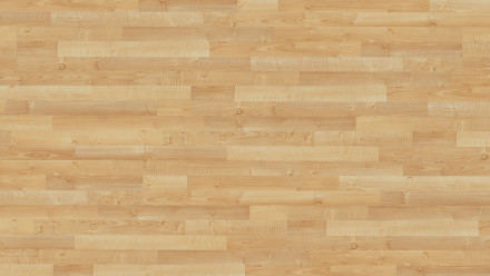 Parador laminate flooring - Basic 200 - natural maple - wood texture - 3-plank block