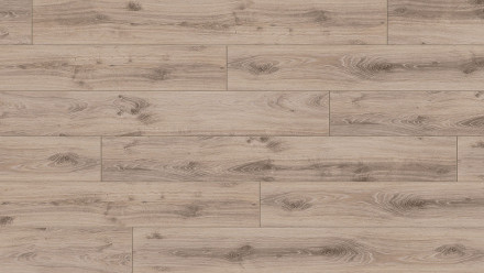 Parador laminate flooring Classic 1050 Oak Tradition grey-beige Elegant texture 4V-joint
