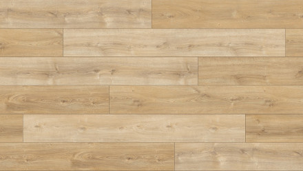 Parador laminate flooring Trendtime 6 Oak Nova light limed natural texture 4V-joint