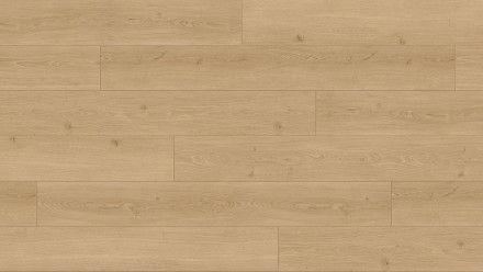 Parador laminate flooring - Trendtime 6 4V Oak Studioline Natur bevelled