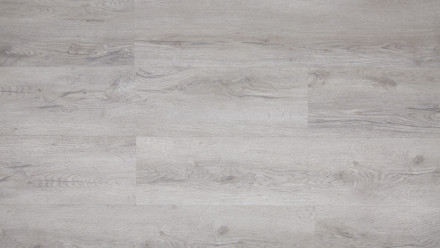 planeo click Vinyl - Rigid Rustic gray oak (60061914)